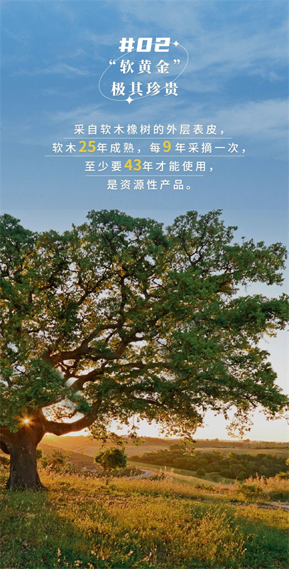 無懼挑剔眼光，裝飾材料的天花板！ image4