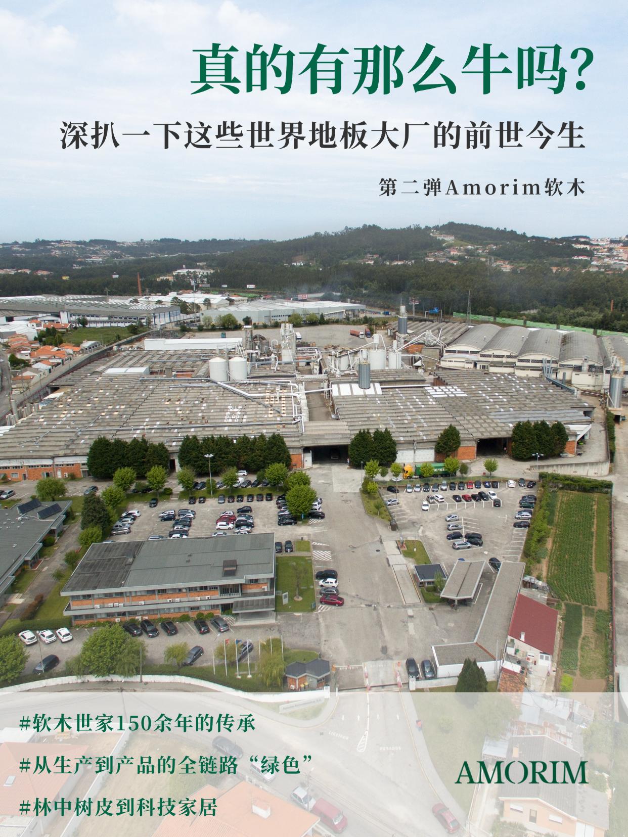 真的有那么牛嗎？深扒一下這些世界地板大廠的前世今生 圖片4